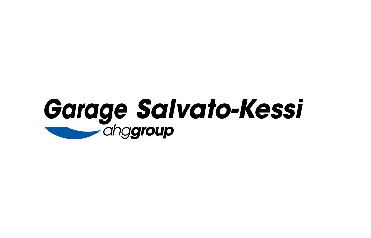 Logo SKAG