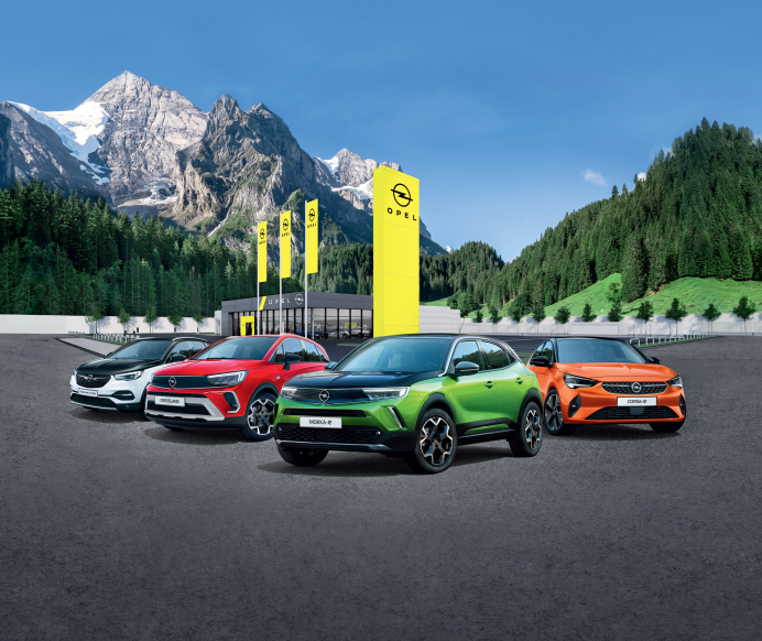 Opel déstockage