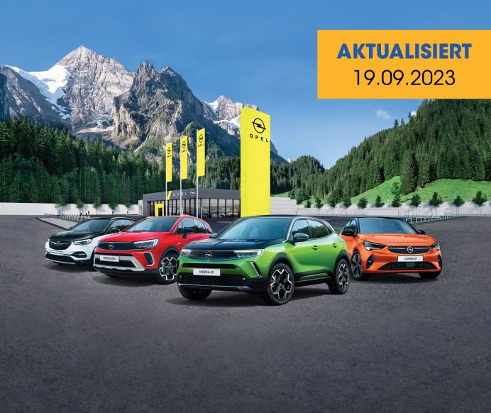Opel déstockage